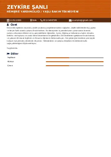 Hasta ve Yaşlı Bakım Elemanı Cv Örnekleri cv indir